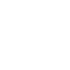 Zoom overlay